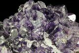 Purple Amethyst Cluster - Uruguay #66715-2